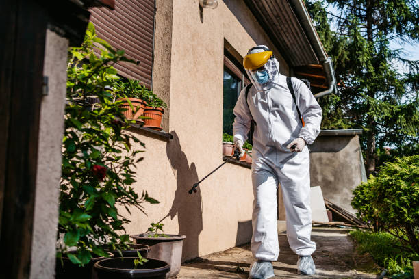 Best Residential Pest Control  in Melrose, MN
