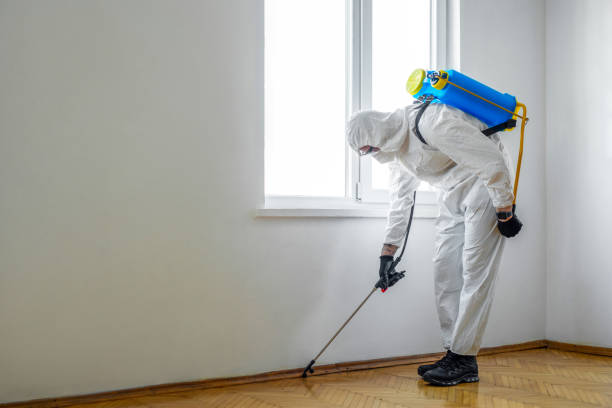 Flea Control Services in Melrose, MN