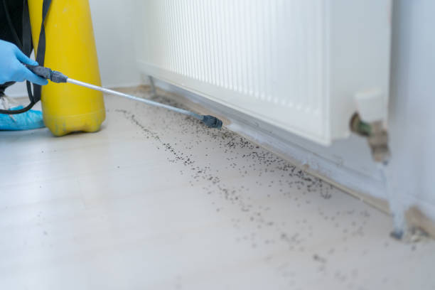 Best Exterminator Services  in Melrose, MN